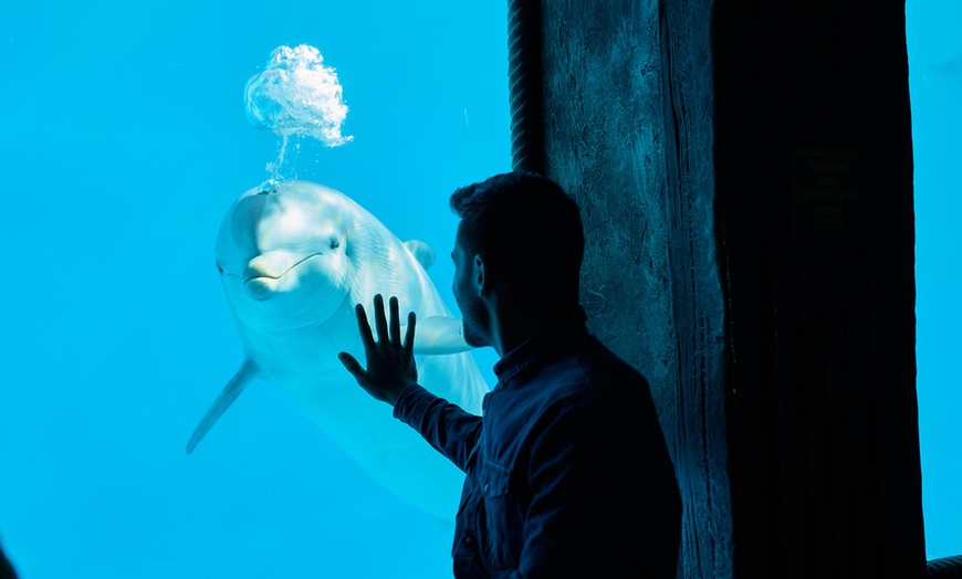 Image 5: Diversión en familia con una entrada a MundoMar y/o Aqualandia