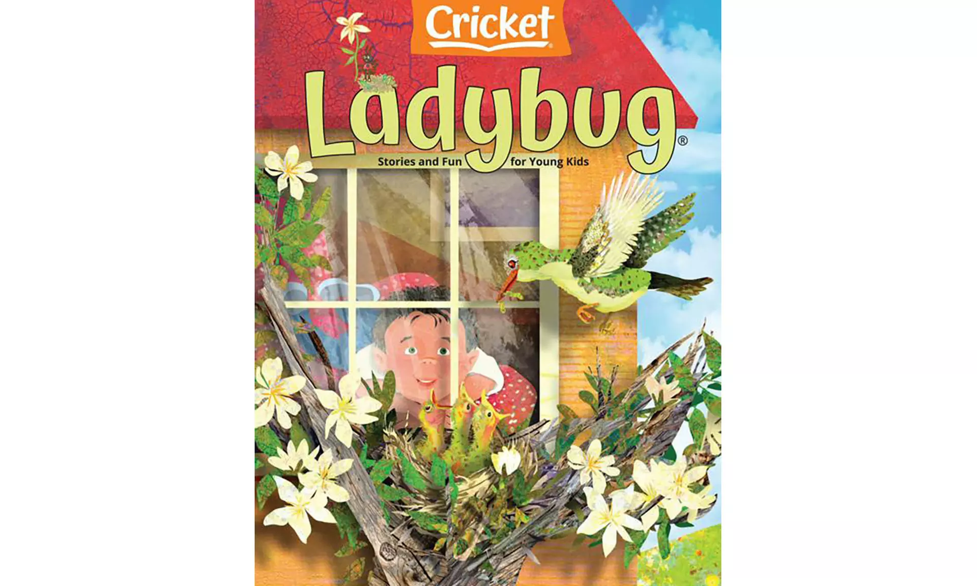 Ladybug Magazine Subscription for One Year (26% Off) - Primary Image