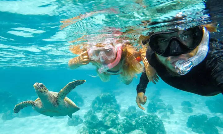Delve into Try Snorkeling and Scuba Diving - Hilo's Semi Private Experience with Turtles, Videos for up to 52% Discount - Primary Image