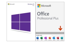  Microsoft Windows 10 Pro, Office Professional 2019 or Bundle of Both 