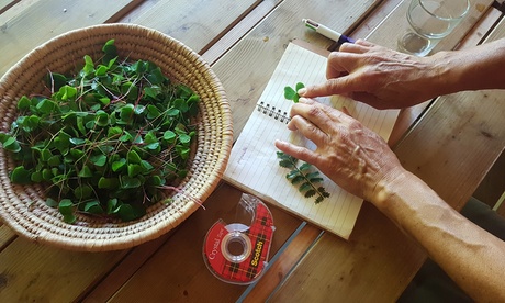 2 ou 3 ateliers de phytothérapie dès 19,90 € à l'institut Madame Ambre Verdon
