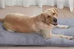 Self-Warming Pet Blanket Bed Pad - Image 5