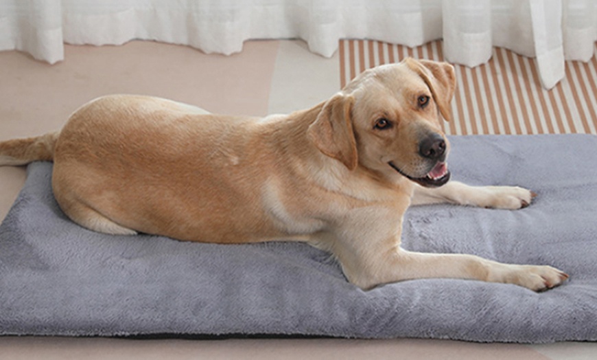 Image 5: Self-Warming Pet Blanket Bed Pad