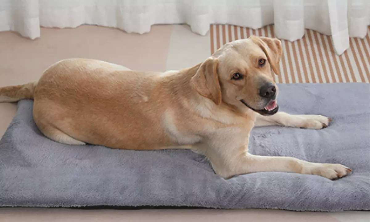 Self-Warming Pet Blanket Bed Pad