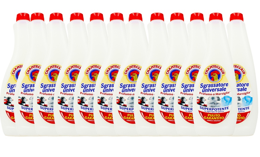 Image 2: 12 confezioni di Chanteclair sgrassatore da 600 ml