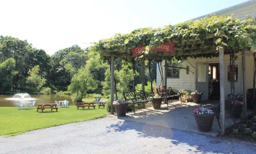 Image 4: Tastings for Two or Four or 6-Bottle Gift Set at Pugliese Vineyards