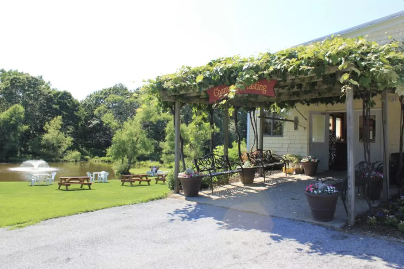 Tastings for Two or Four or 6-Bottle Gift Set at Pugliese Vineyards