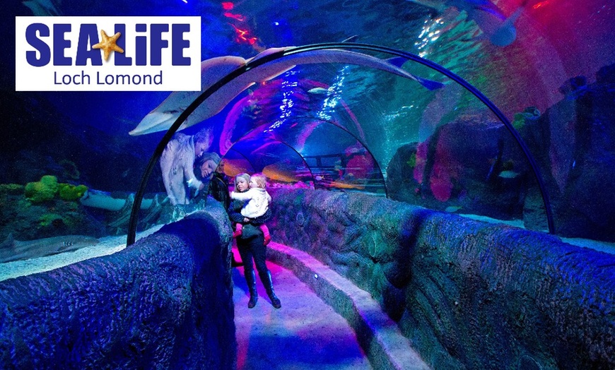 Image 1: SEA LIFE Loch Lomond Entry