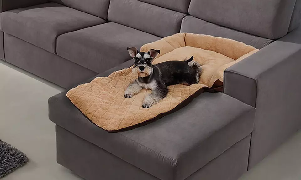 Coussin 2 en 1 rabattable pour chien - Second Medium