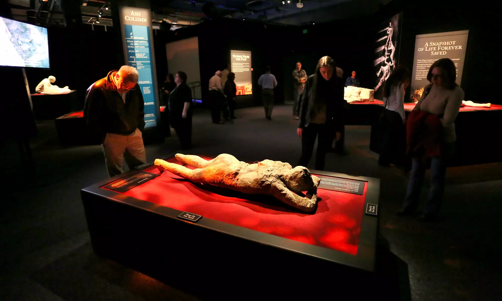 Pompeii The Exhibition (VIP Ticket + Audio Guide) with Up to 26% Off - Primary Image