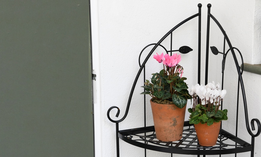 Image 2: Three Shelf Metal Corner Leaf Stand