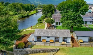 Snowdonia Escape: Stylish Lodge or Apartment