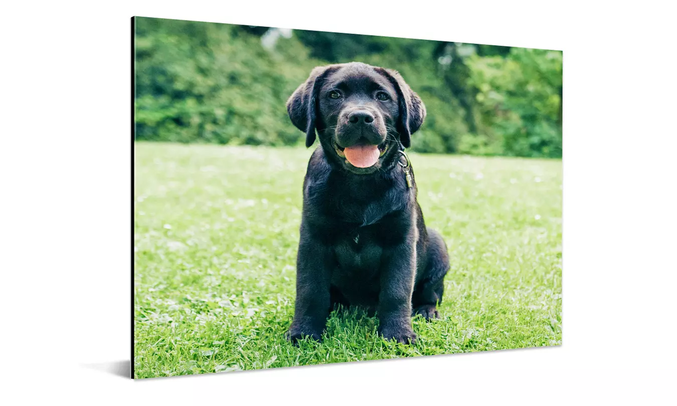 Jouw foto op wit aluminium voor aan je muur