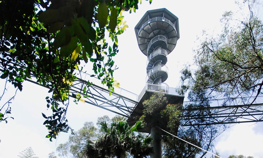 Image 2: Illawarra Fly Treetop Entry