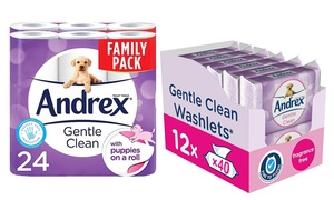  Andrex Gentle Clean 24 Toilet Rolls and 240 Toilet Tissue Wipes 