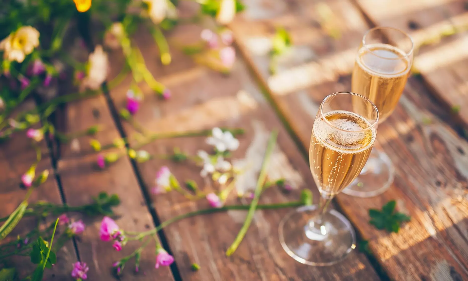 Raise a Toast! Grab 3 bottles of Holiday Bubbles from Splash Wines