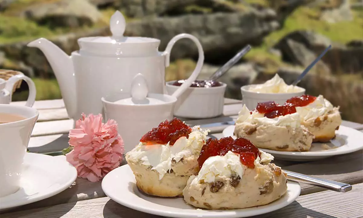 Up to 35% Off on Arboretum / Botanical Garden