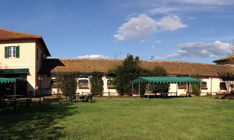 4 lezioni equitazione