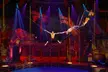 Tickets to Pirate’s Live Water show at Hippodrome Great Yarmouth! 27th March - 10th April (Up to 31% Off) - Image 3