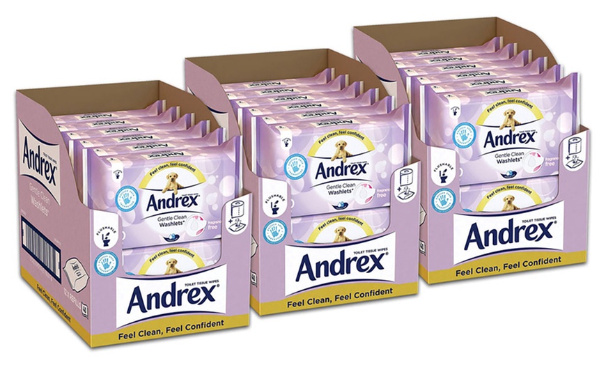 Image 13: Andrex Flushable Wipes
