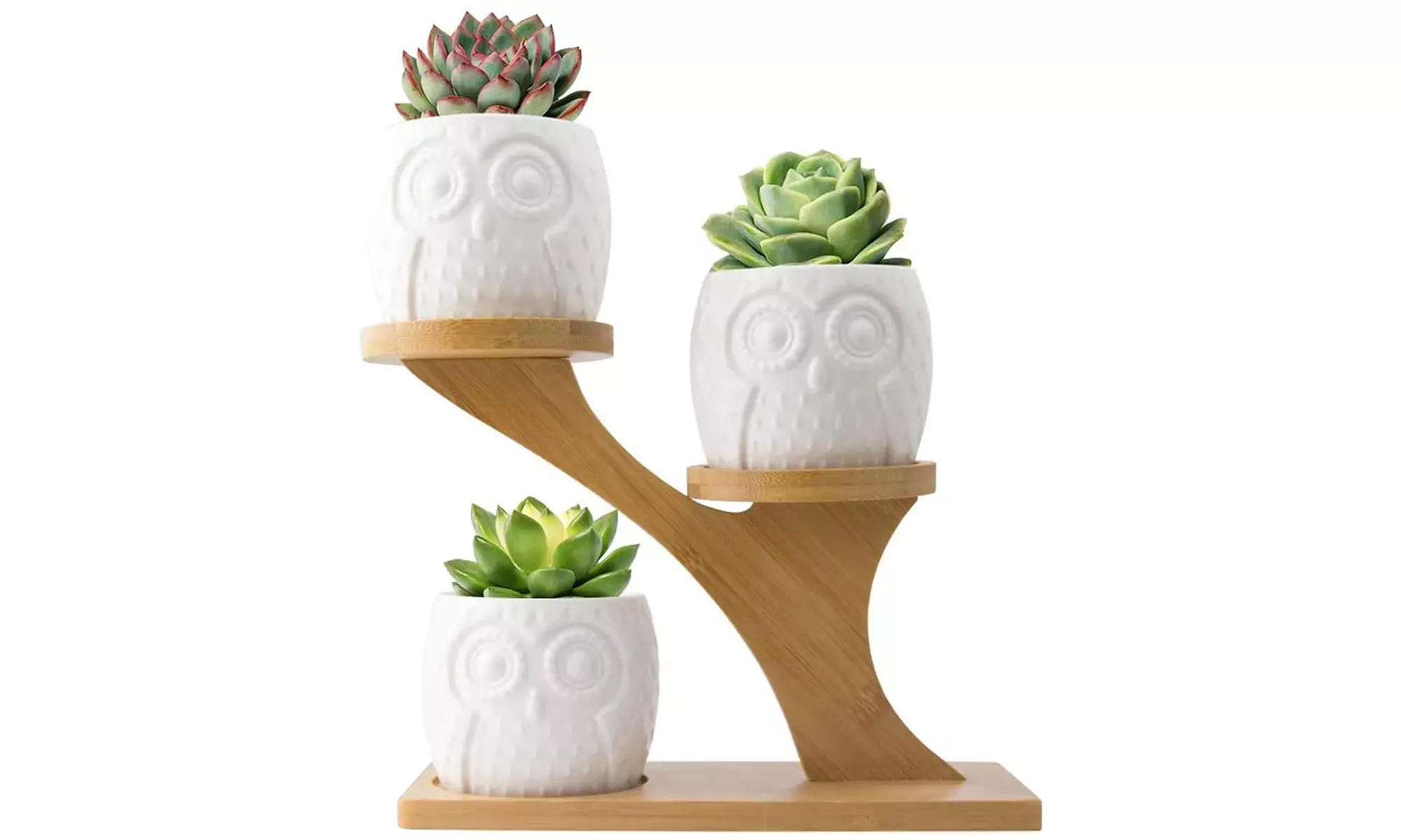 3er- oder 6er-Set Keramiktopf im Eulen Design