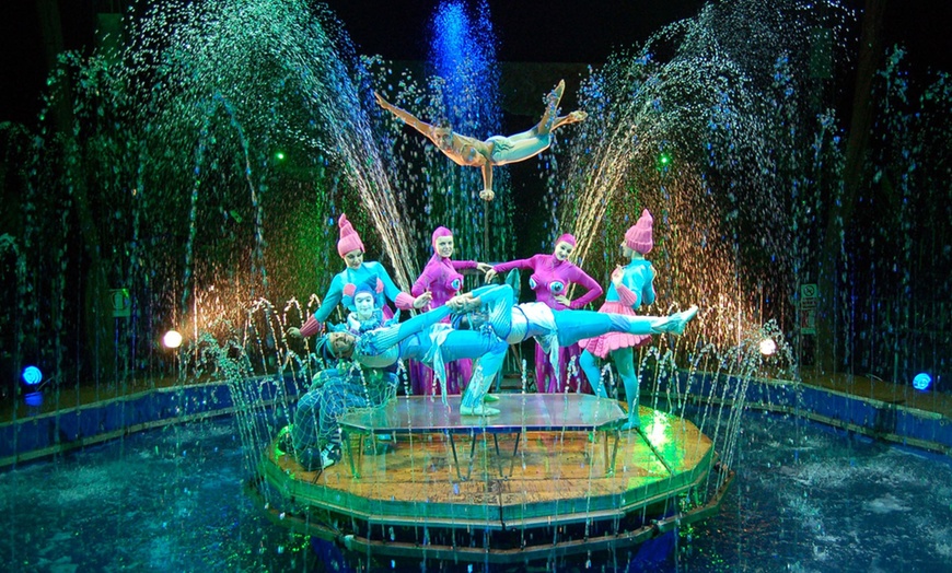 Image 10: Wunder-Wasser-Show Circo Aquatico