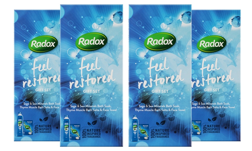 Image 5: Radox Feel Restored Gift Set