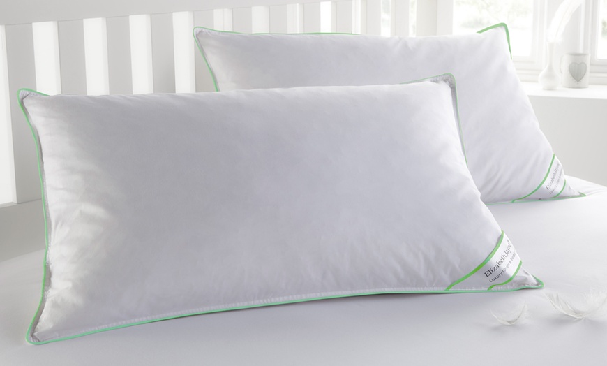 Goose Feather and Down Pillows Groupon Goods