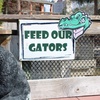 Image 8: Enjoy Mini-Golf For One, Two, Three, or Four; and Play Among Live Gators (Up To 55% Off)