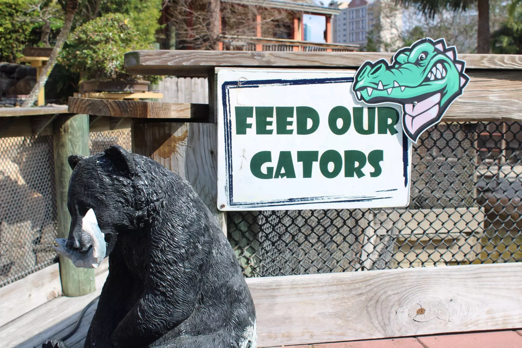 Mini-Golf Deals For One, Two, Three, or Four - Play Among Live Gators (Up To 50% Off)