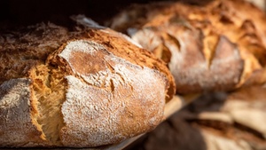 Beer, Bread, Cheese Making Course