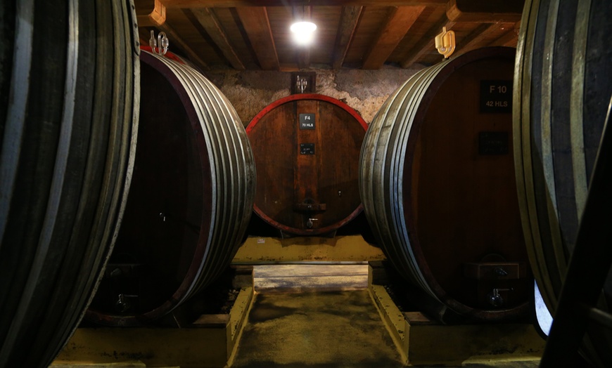 Image 2: Dégustation de vin au domaine Dopff au Moulin