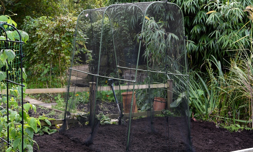 Image 4: Garden Gear Walk-In Crop Cage