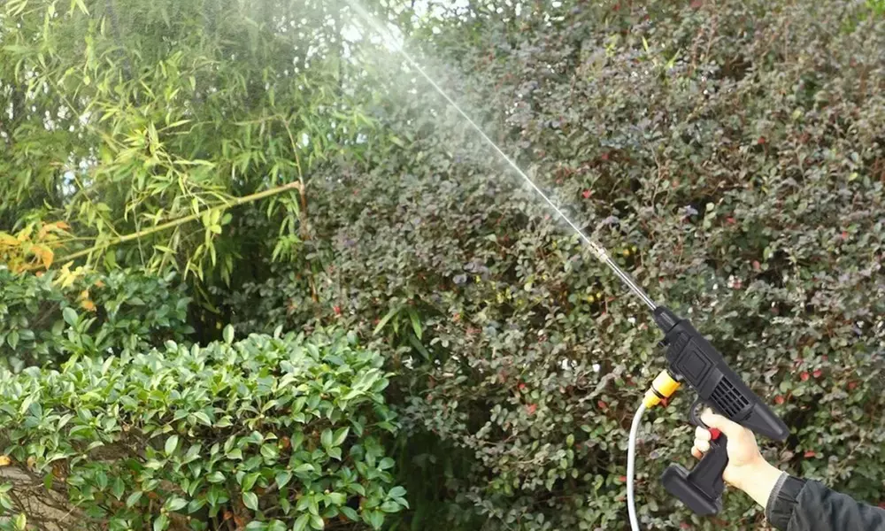 Nettoyeur portatif à haute pression