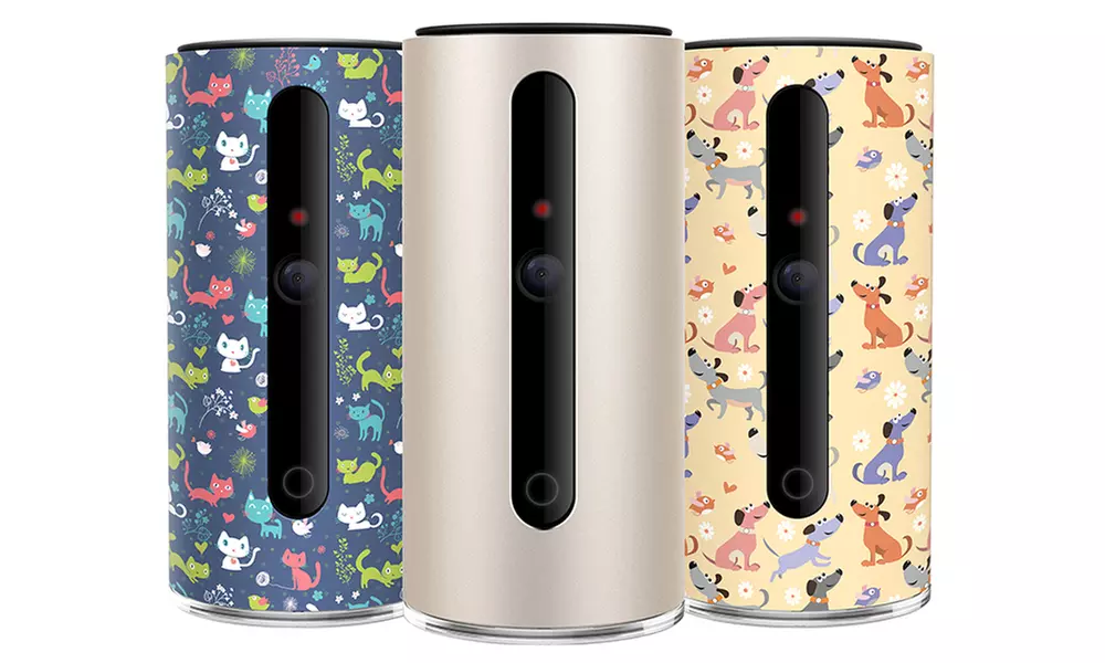 PetKit Smart Wi-Fi Video Pet Monitor - Primary Image