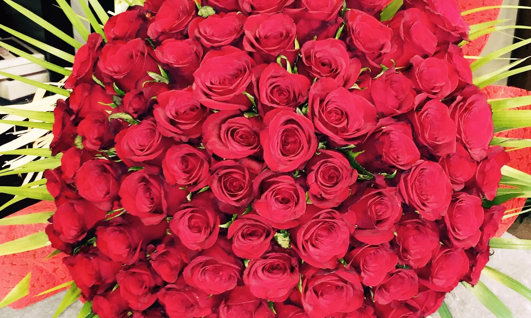 50 to 200 Roses and Card