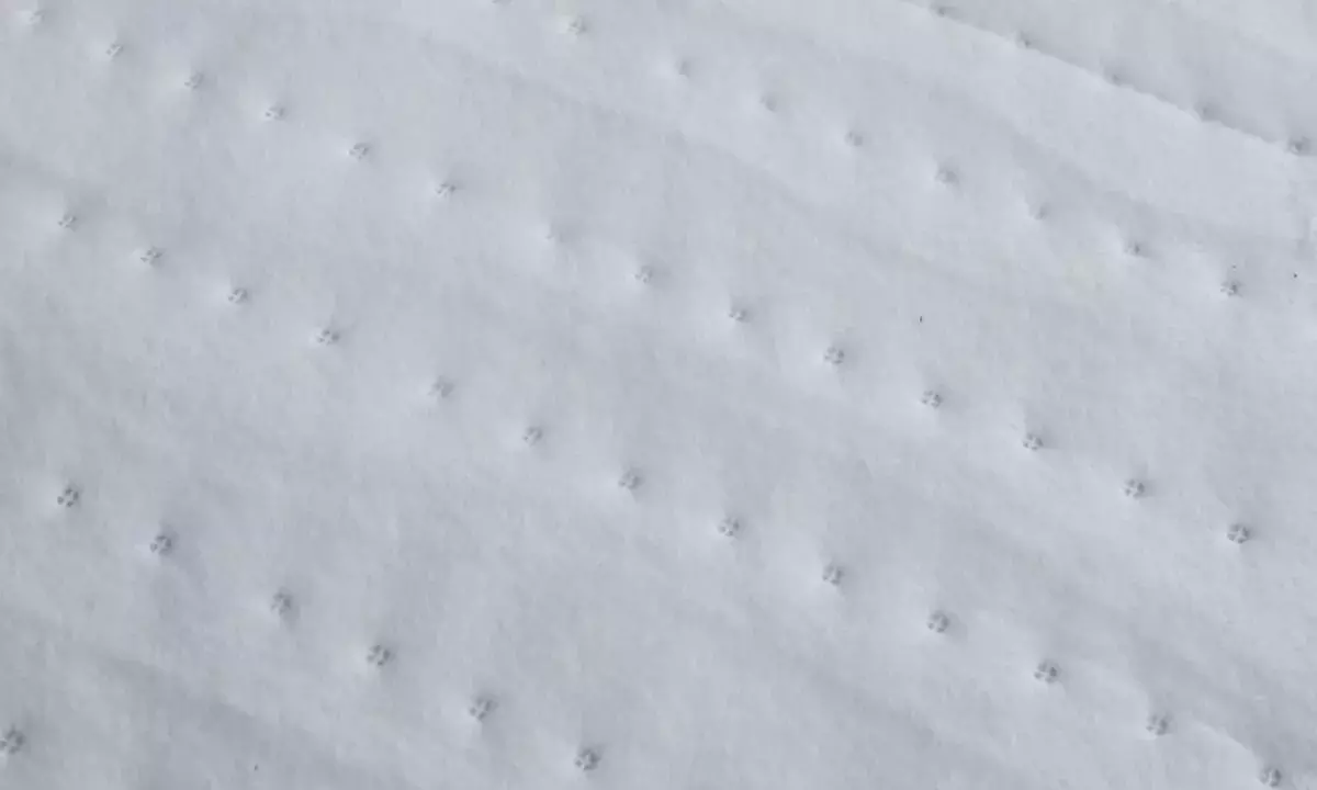 Cosy Fleece Heated Under Blanket with Dual Control