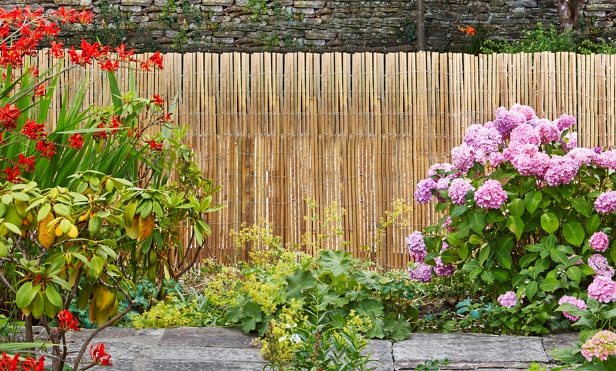 Image 1: Bamboo Slat Garden Fencing