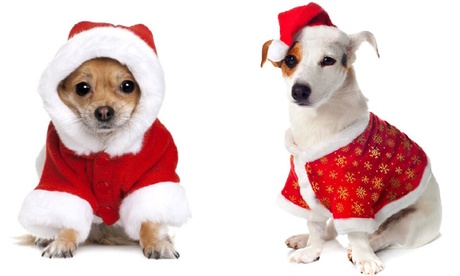 Vestito Babbo Natale o Fiocco di neve per cani disponibile in 4 taglie