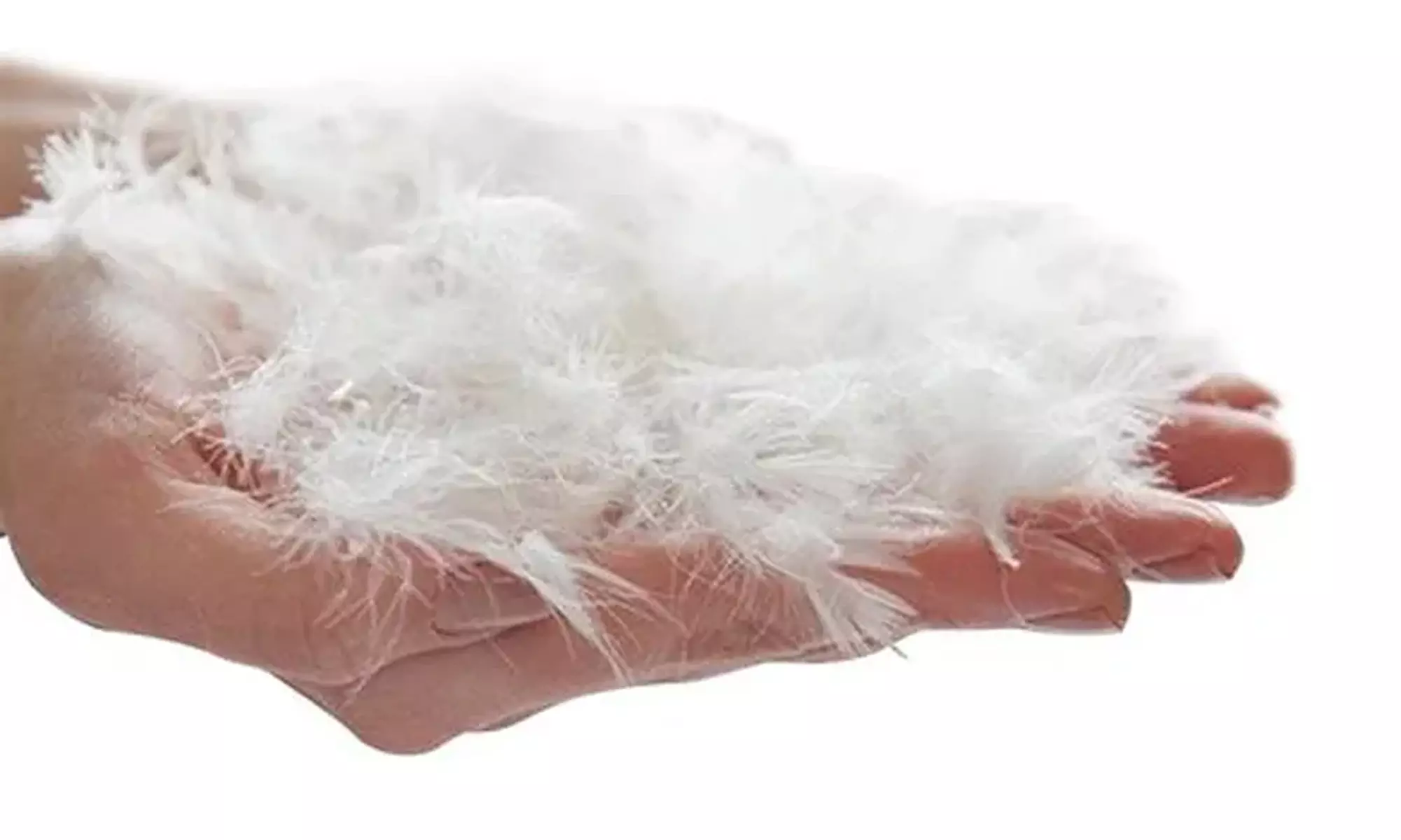 Sampur Federkissen mit weichem Komfort, Goldfedern-Stickerei, 100% weiße Baumwolle, 100% Entenfedern - Second Medium