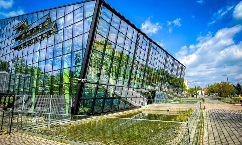 Zobacz z bliska egzotyczne rośliny i zwierzęta: bilety do Egzotarium