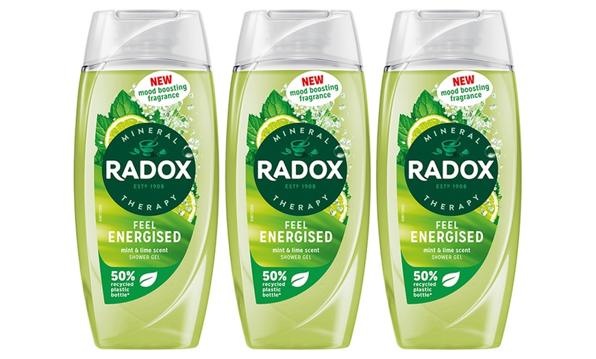 Image 14: Radox Mineral Therapy Shower Gel with Mood-Boosting Fragrance