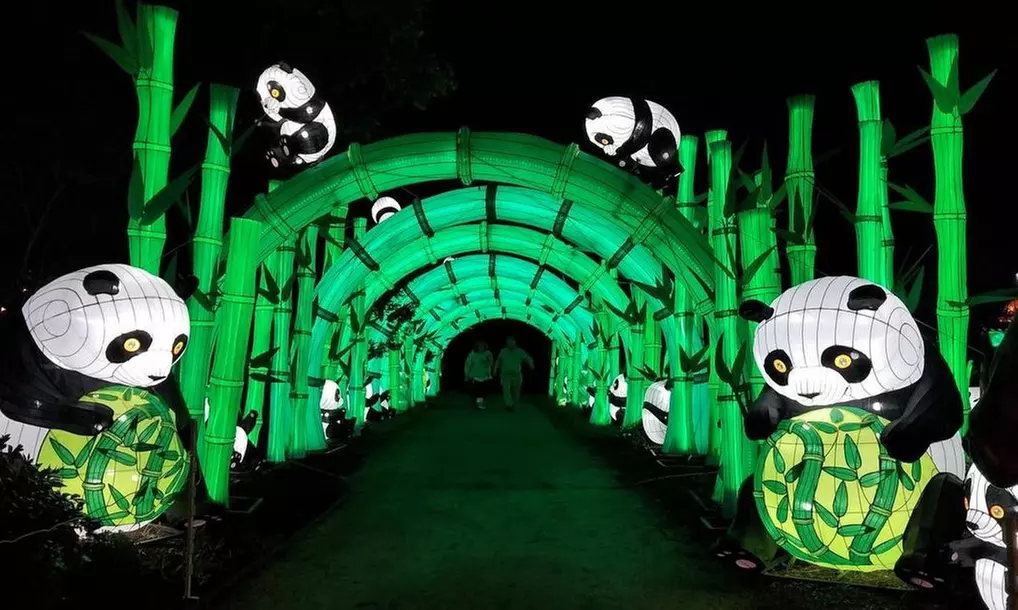China Lights: Treasures of China (September 13–October 27)  - Primary Image