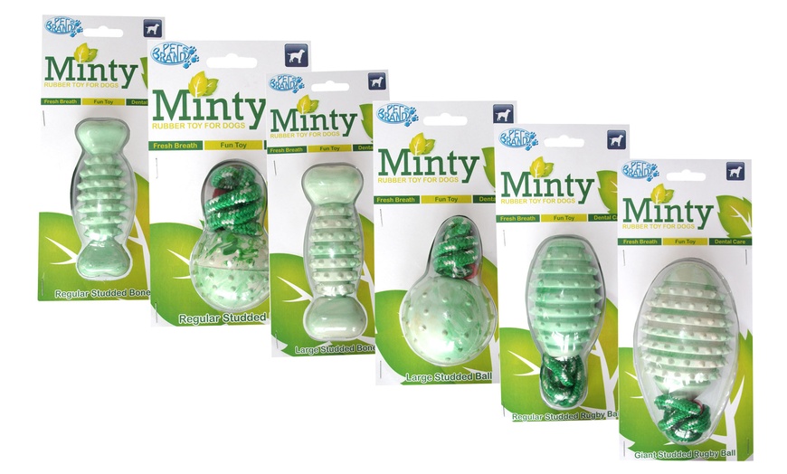 Image 1: Minty Rubber Toys for Dogs 