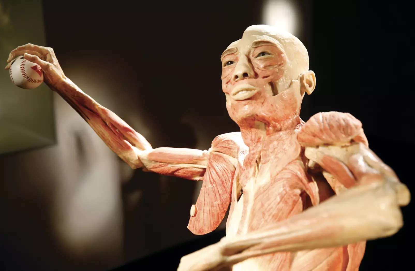 *Flash Sale* Bodies the Exhibition at Luxor - GA Attraction Tickets