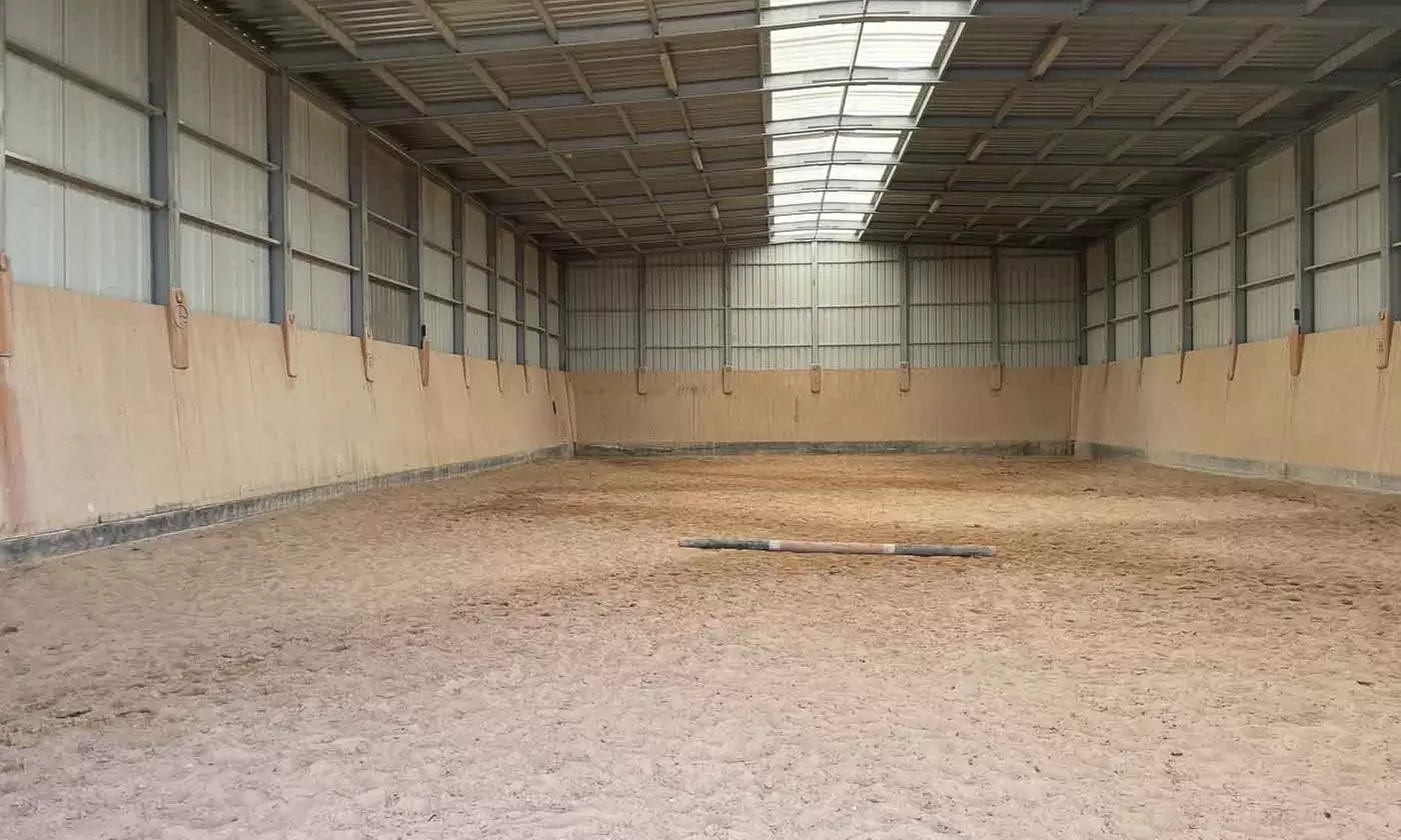 Ruta de 1 hora a caballo para hasta 4 personas con opción a iniciación