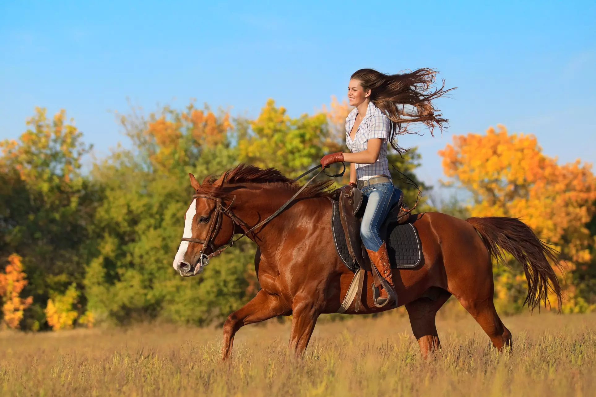 10% Off First Time Adult Horseback Riding Lessons  at Kilham Farm - Primary Image