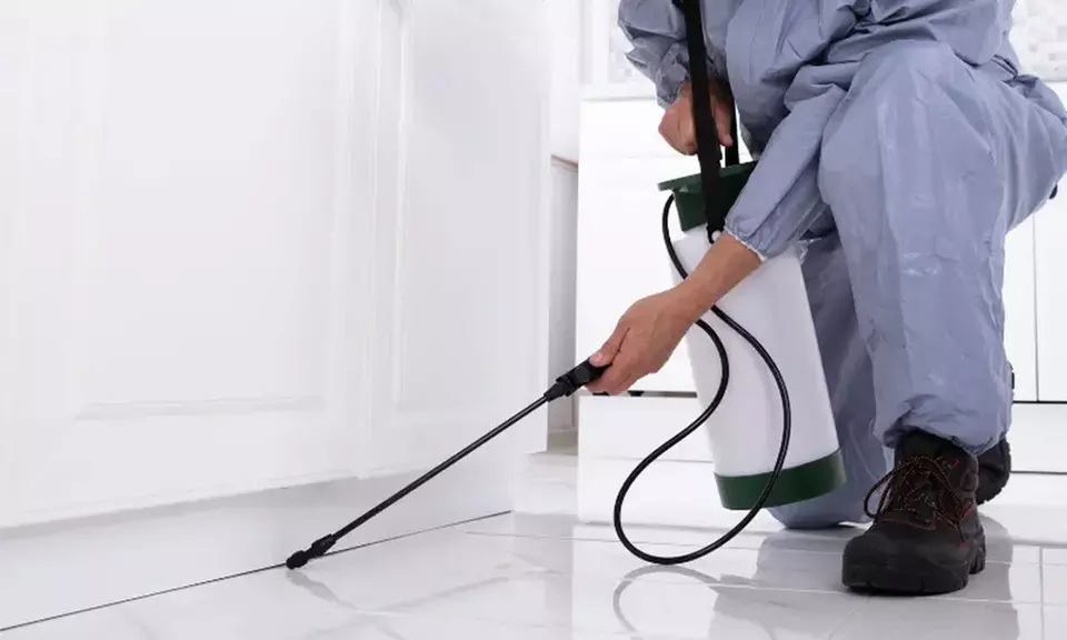 Complete Pest/Rat Control for Single Storey Houses Inside and Out