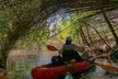 Glide Through Honey Island Swamp: Guided Kayak Tours with Wildlife & Louisiana History Near New Orleans - Second Medium