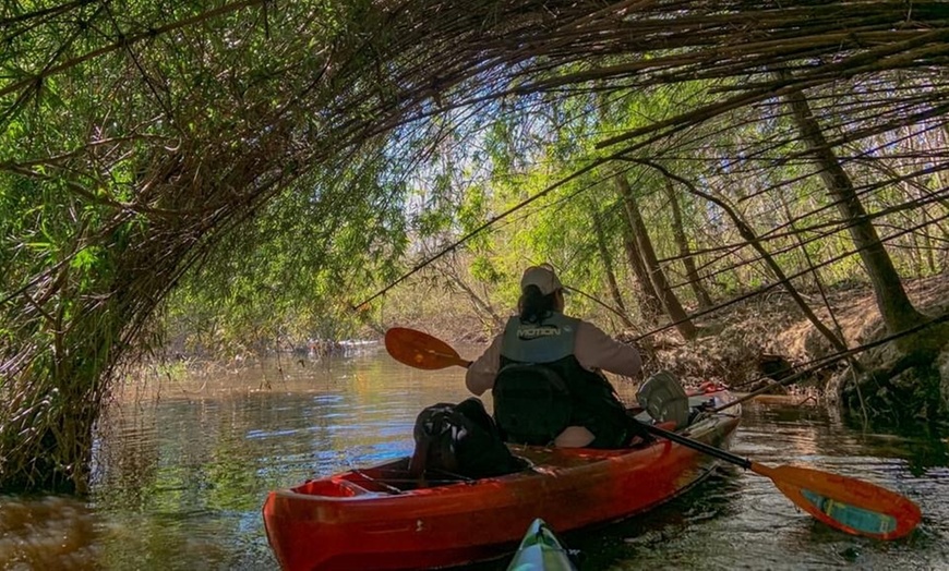 Image 4: Kayak Honey Island Swamp Tour 